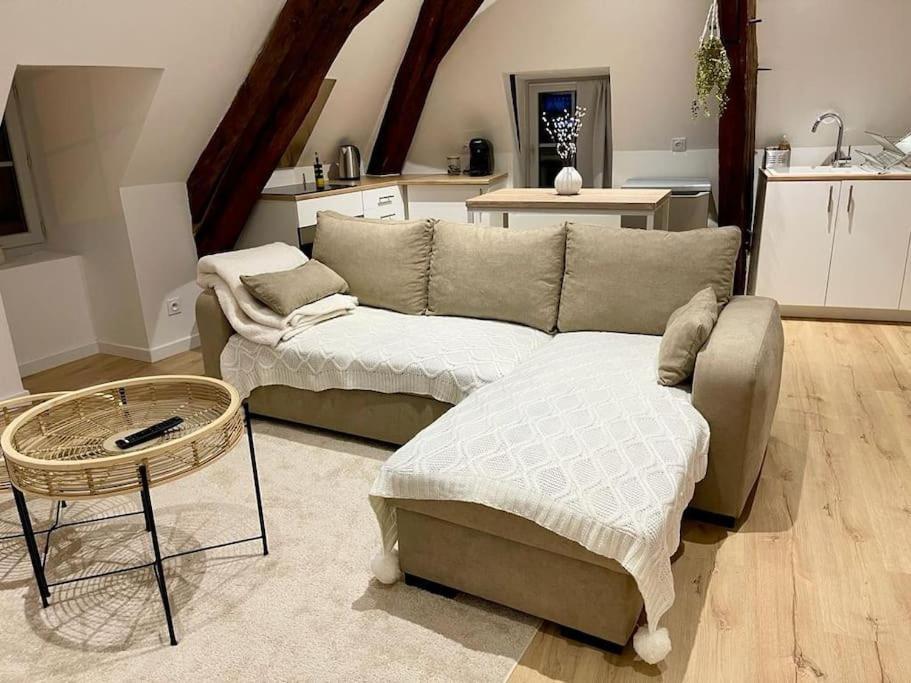 Appartement Cosy Centre Ville Saint-Amand-Mont-Rond Exterior foto